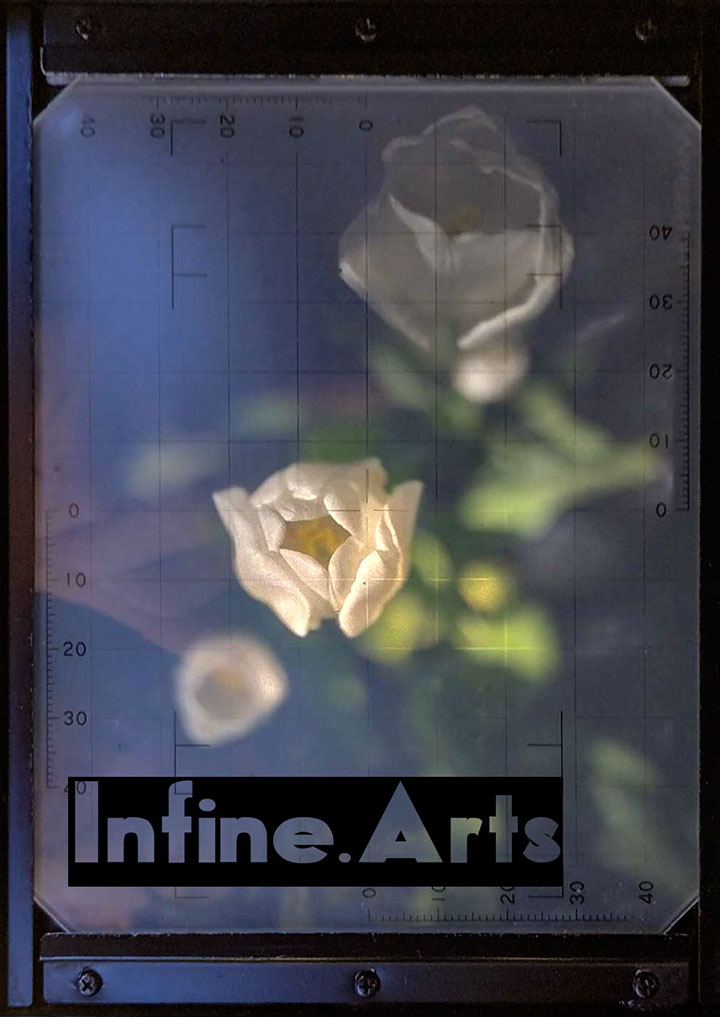 JBrancati©2025-Summer Flowers Lover Flower Lover. Brittany Summer 2025